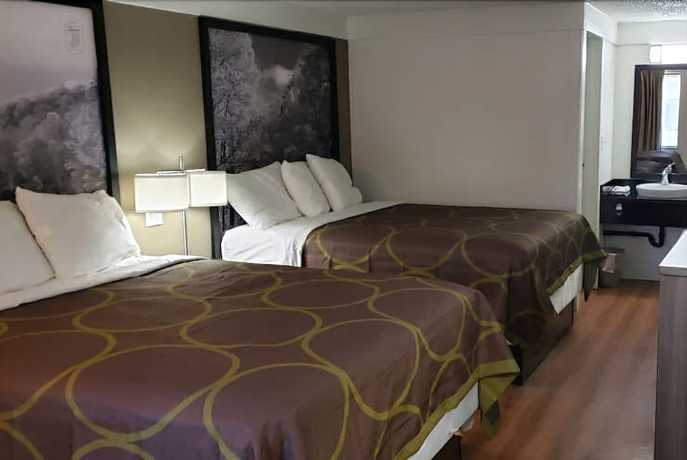Imagen de la habitación del Hotel Super 8 By Wyndham Asheville/biltmore. Foto 4