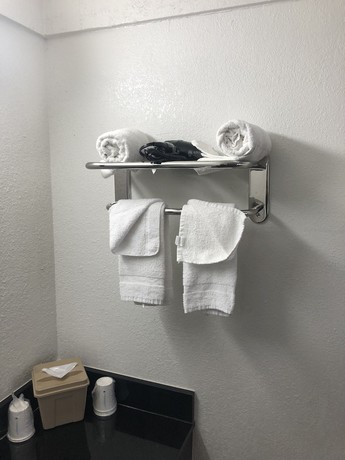 Imagen de la habitación del Hotel Super 8 By Wyndham Asheville/biltmore. Foto 9