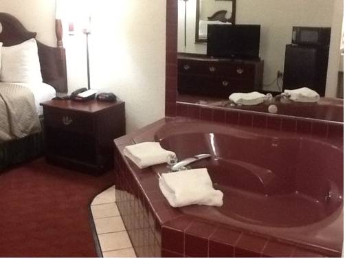 Imagen de la habitación del Hotel Super 8 By Wyndham Aurora/naperville Area. Foto 3