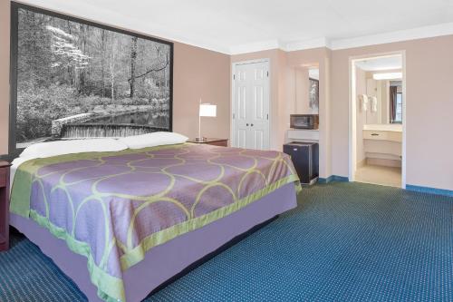 Imagen de la habitación del Hotel Super 8 By Wyndham Austell/six Flags. Foto 11