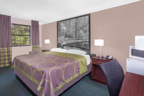 Imagen de la habitación del Hotel Super 8 By Wyndham Austell/six Flags. Foto 15