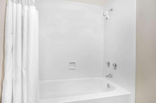 Imagen de la habitación del Hotel Super 8 By Wyndham Austell/six Flags. Foto 16