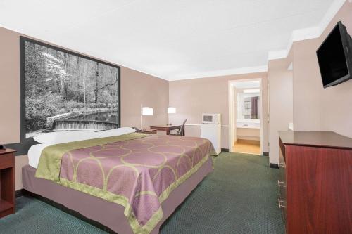 Imagen de la habitación del Hotel Super 8 By Wyndham Austell/six Flags. Foto 18