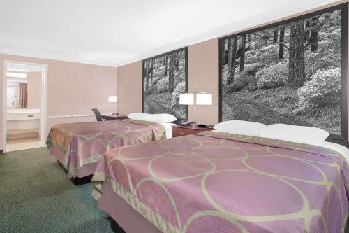 Imagen de la habitación del Hotel Super 8 By Wyndham Austell/six Flags. Foto 19