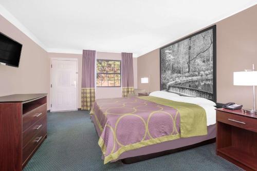 Imagen de la habitación del Hotel Super 8 By Wyndham Austell/six Flags. Foto 20