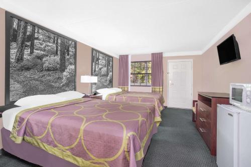 Imagen de la habitación del Hotel Super 8 By Wyndham Austell/six Flags. Foto 21