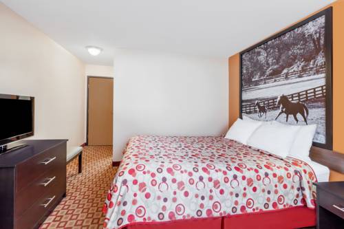 Imagen de la habitación del Hotel Super 8 By Wyndham Bowling Green South. Foto 3