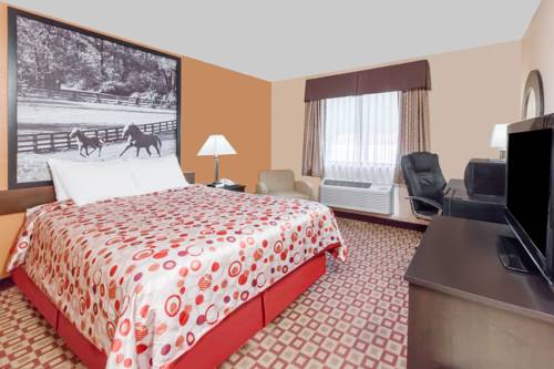 Imagen de la habitación del Hotel Super 8 By Wyndham Bowling Green South. Foto 4