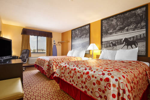Imagen de la habitación del Hotel Super 8 By Wyndham Bowling Green South. Foto 6