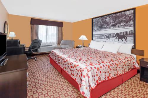 Imagen de la habitación del Hotel Super 8 By Wyndham Bowling Green South. Foto 10