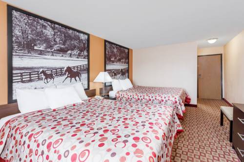 Imagen de la habitación del Hotel Super 8 By Wyndham Bowling Green South. Foto 11