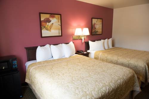 Imagen de la habitación del Hotel Super 8 By Wyndham Butte Mt. Foto 6