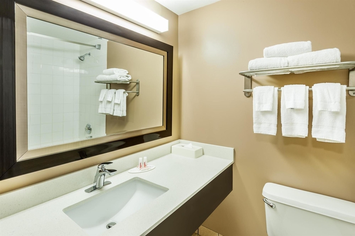 Imagen de la habitación del Hotel Super 8 By Wyndham Calgary/airport. Foto 3