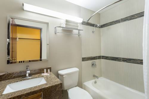 Imagen de la habitación del Hotel Super 8 By Wyndham Chico. Foto 3