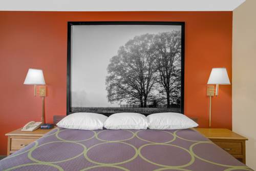 Imagen de la habitación del Hotel Super 8 By Wyndham Christiansburg/blacksburg Area. Foto 6