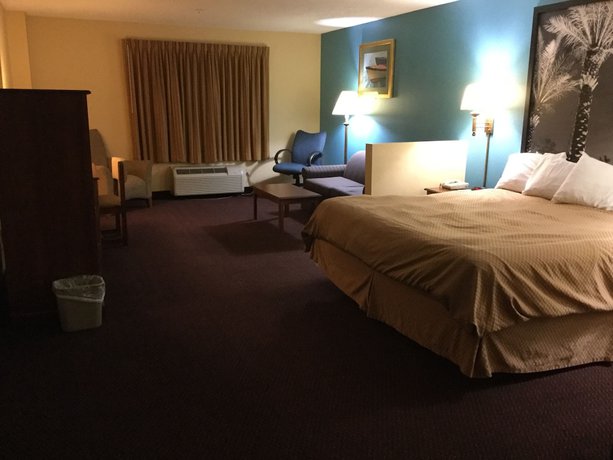 Imagen de la habitación del Hotel Super 8 By Wyndham Dania/fort Lauderdale Arpt. Foto 6