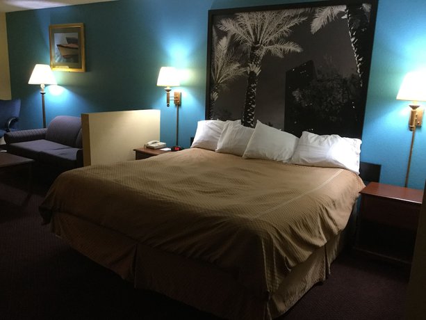 Imagen de la habitación del Hotel Super 8 By Wyndham Dania/fort Lauderdale Arpt. Foto 7