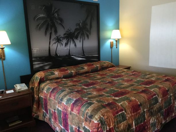 Imagen de la habitación del Hotel Super 8 By Wyndham Dania/fort Lauderdale Arpt. Foto 13