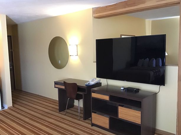Imagen de la habitación del Hotel Super 8 By Wyndham Driggs. Foto 12
