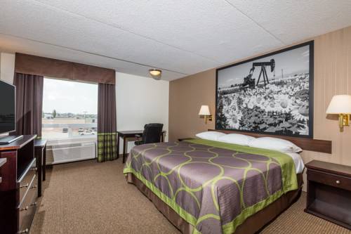 Imagen de la habitación del Hotel Super 8 By Wyndham Edson. Foto 6