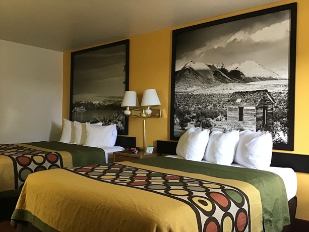 Imagen de la habitación del Hotel Super 8 By Wyndham Elko. Foto 8