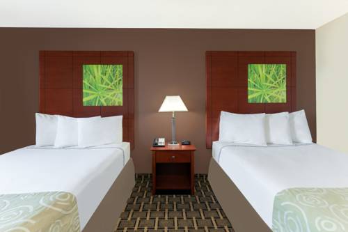 Imagen de la habitación del Hotel Super 8 By Wyndham Flint Township Miller Rd/bishop. Foto 6