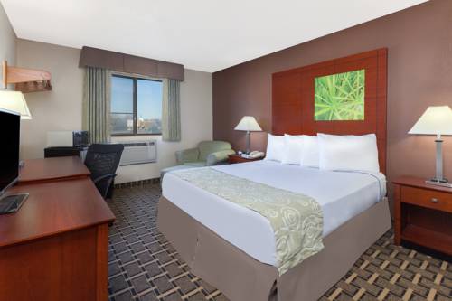 Imagen de la habitación del Hotel Super 8 By Wyndham Flint Township Miller Rd/bishop. Foto 10