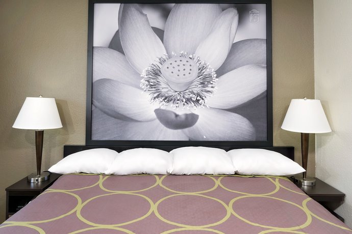 Imagen de la habitación del Hotel Super 8 By Wyndham Florence, Florence. Foto 4