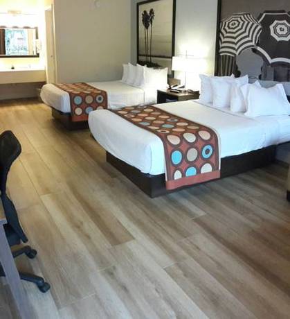 Imagen de la habitación del Hotel Super 8 By Wyndham Florida City/homestead/everglad. Foto 3