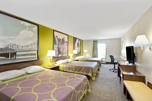 Imagen de la habitación del Hotel Super 8 By Wyndham Gainesville. Foto 10