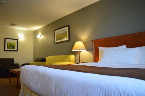 Imagen general del Hotel Super 8 By Wyndham Grande Prairie. Foto 1