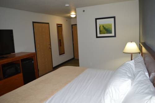 Imagen de la habitación del Hotel Super 8 By Wyndham Grande Prairie. Foto 3