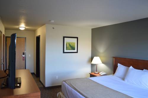 Imagen de la habitación del Hotel Super 8 By Wyndham Grande Prairie. Foto 4