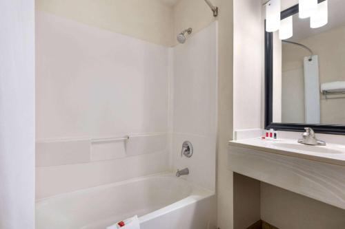 Imagen de la habitación del Hotel Super 8 By Wyndham Grove City. Foto 19