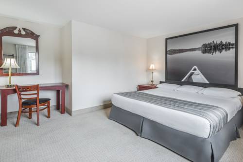 Imagen de la habitación del Hotel Super 8 By Wyndham Guelph. Foto 10