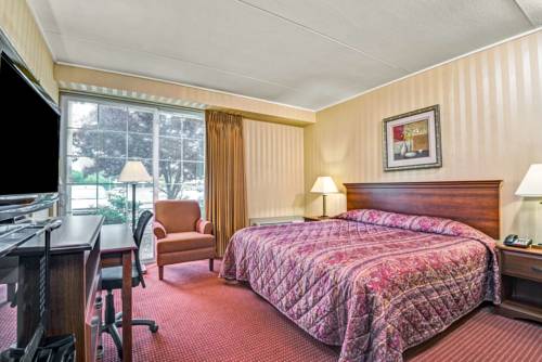 Imagen de la habitación del Hotel Super 8 By Wyndham Hartford South - Rocky Hill. Foto 3