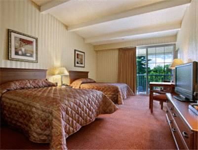 Imagen de la habitación del Hotel Super 8 By Wyndham Hartford South - Rocky Hill. Foto 9