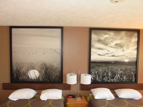 Imagen de la habitación del Hotel Super 8 By Wyndham Hastings. Foto 8