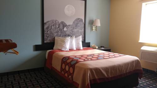 Imagen de la habitación del Hotel Super 8 By Wyndham Henderson North East Denver. Foto 7