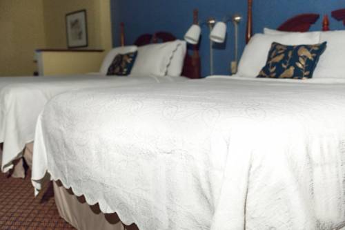 Imagen de la habitación del Hotel Super 8 By Wyndham High Point/greensboro. Foto 5