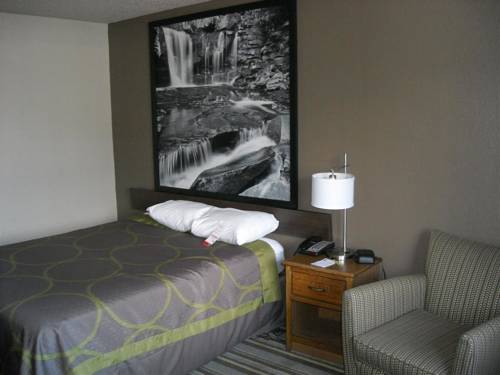 Imagen de la habitación del Hotel Super 8 By Wyndham Hull Street Midlothian / Richmond Area. Foto 5