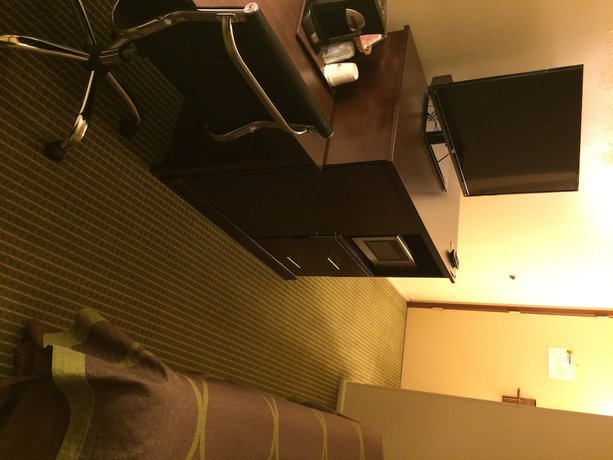 Imagen de la habitación del Hotel Super 8 By Wyndham Idaho Falls. Foto 4