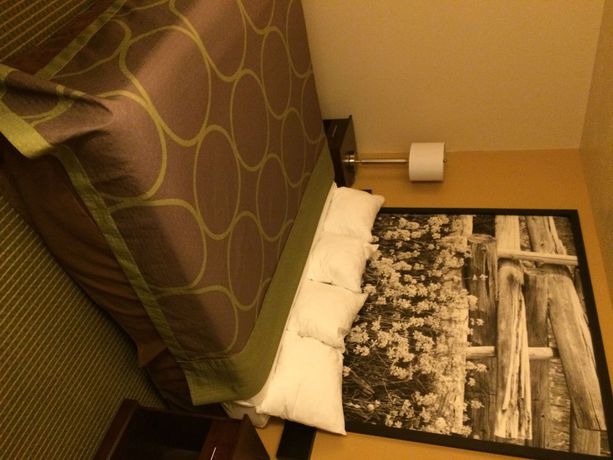 Imagen de la habitación del Hotel Super 8 By Wyndham Idaho Falls. Foto 17