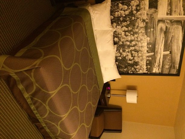 Imagen de la habitación del Hotel Super 8 By Wyndham Idaho Falls. Foto 18