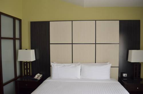 Imagen de la habitación del Hotel Super 8 By Wyndham Irving/dfw Apt/north. Foto 7