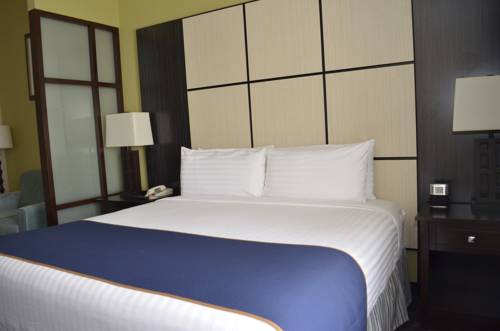 Imagen de la habitación del Hotel Super 8 By Wyndham Irving/dfw Apt/north. Foto 8