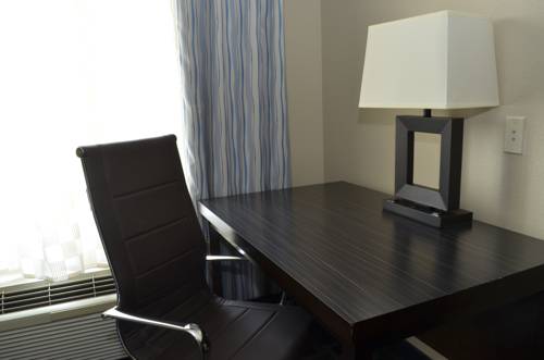 Imagen de la habitación del Hotel Super 8 By Wyndham Irving/dfw Apt/north. Foto 15