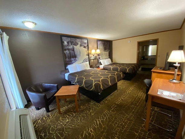 Imagen de la habitación del Hotel Super 8 By Wyndham Kansas City Airport North. Foto 8