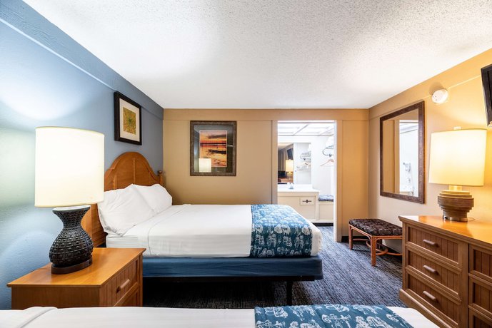 Imagen de la habitación del Hotel Super 8 By Wyndham Kissimmee/orlando. Foto 8