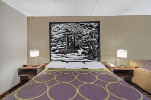 Imagen de la habitación del Hotel Super 8 By Wyndham Knoxville North/powell. Foto 3